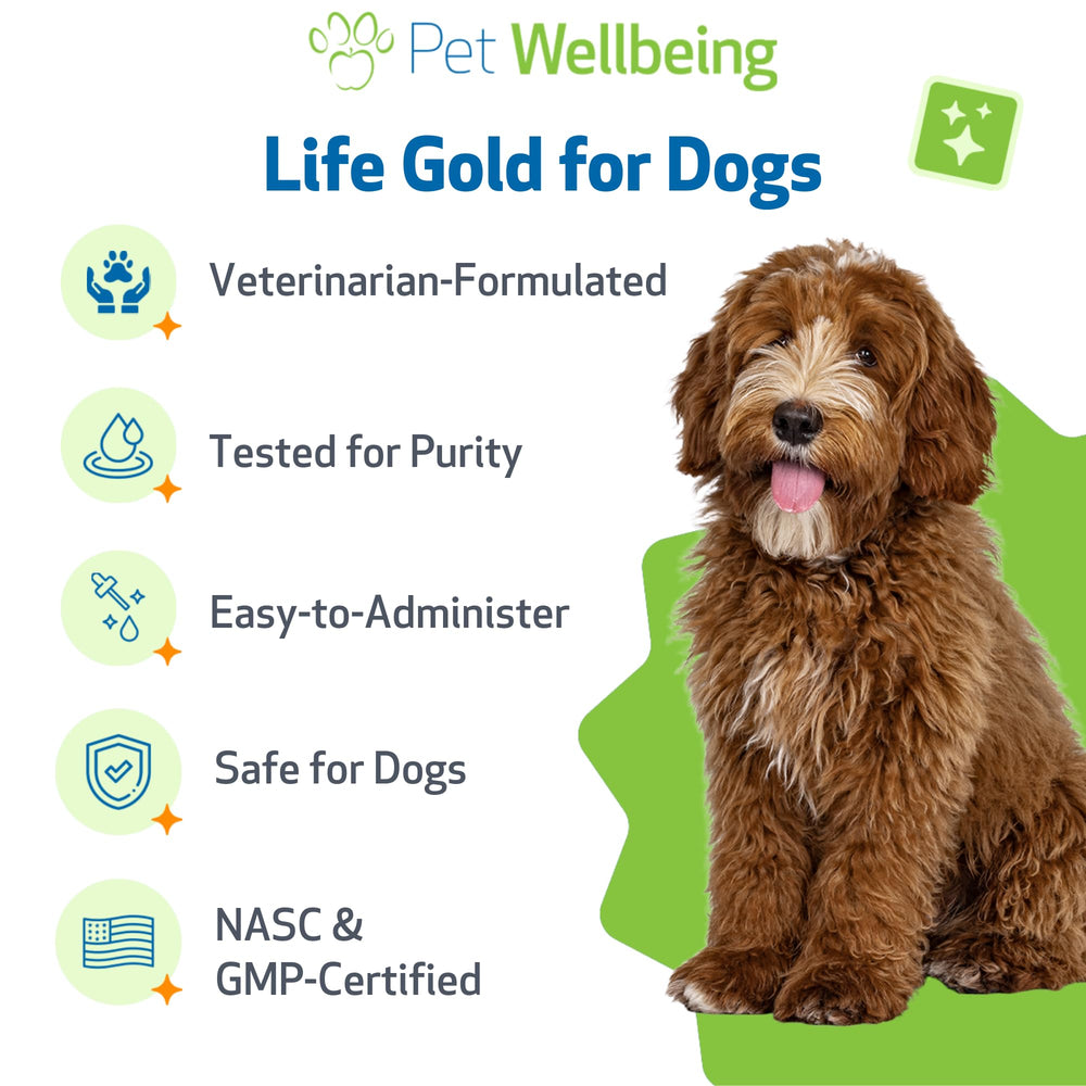 Pet Wellbeing Life Gold: perro más cómodo tras la administración.