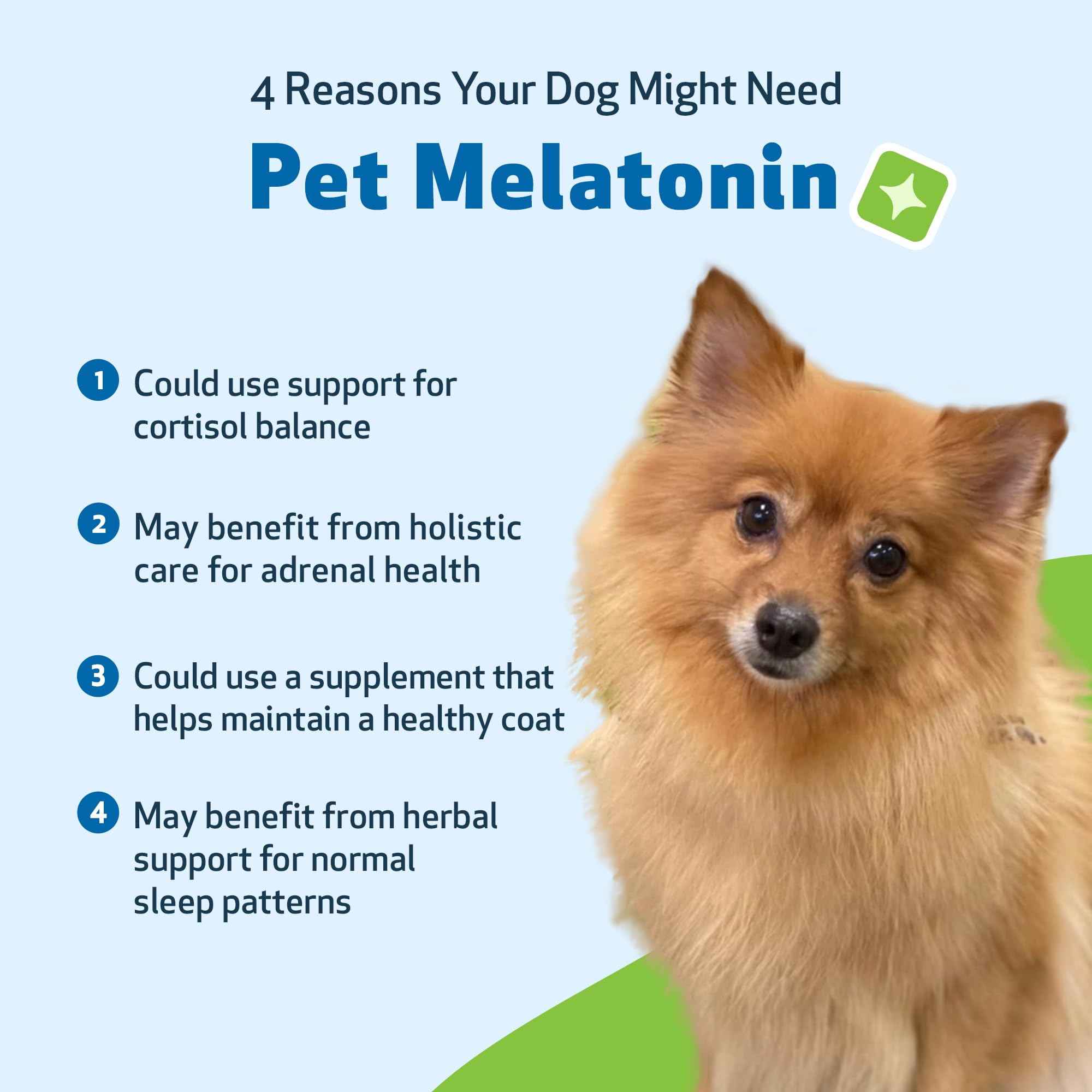 Pet Wellbeing Melatonina para perros – apoyo al sueño nocturno