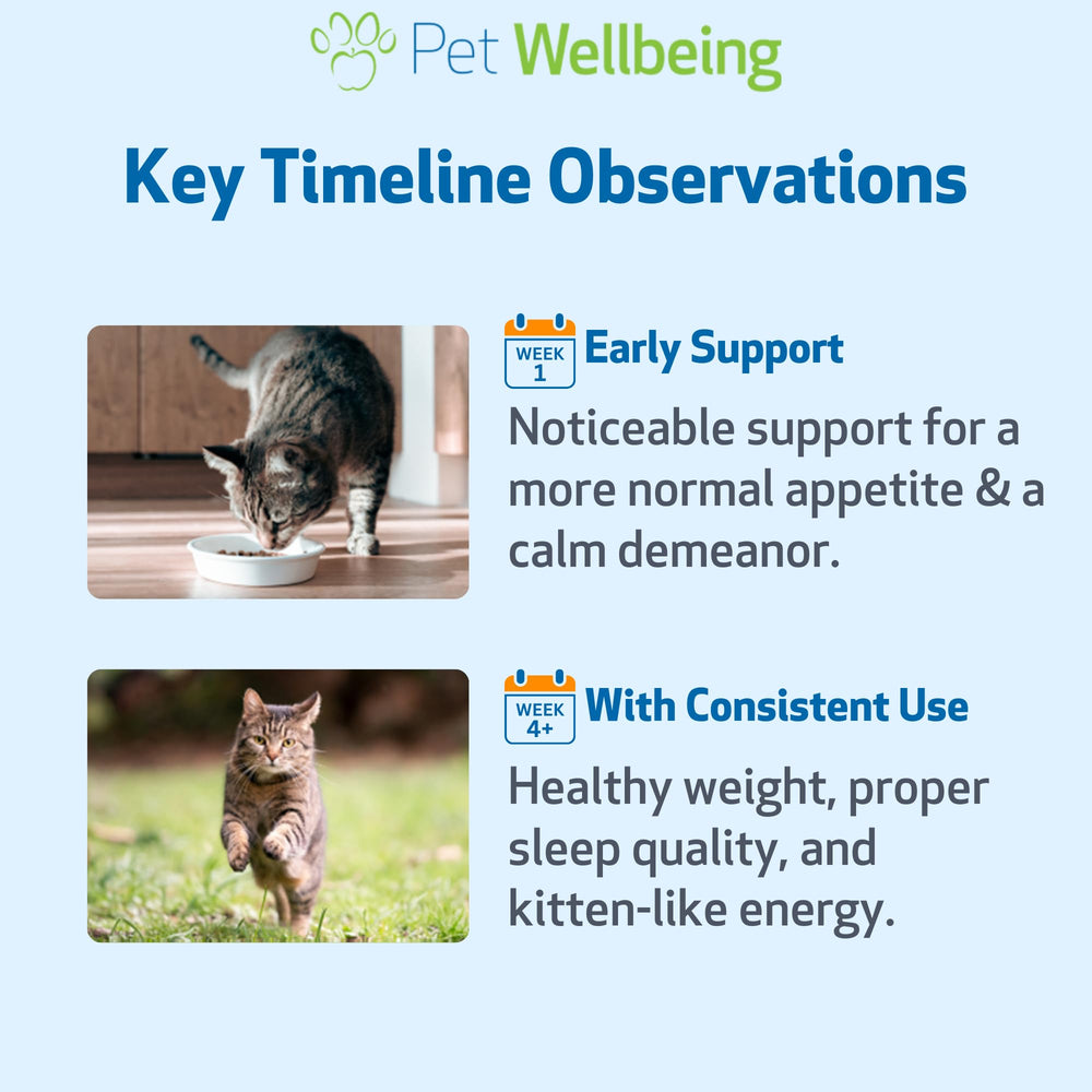 Pet Wellbeing Thyroid Support Gold jarra medidora, garantiza mediciones consistentes.