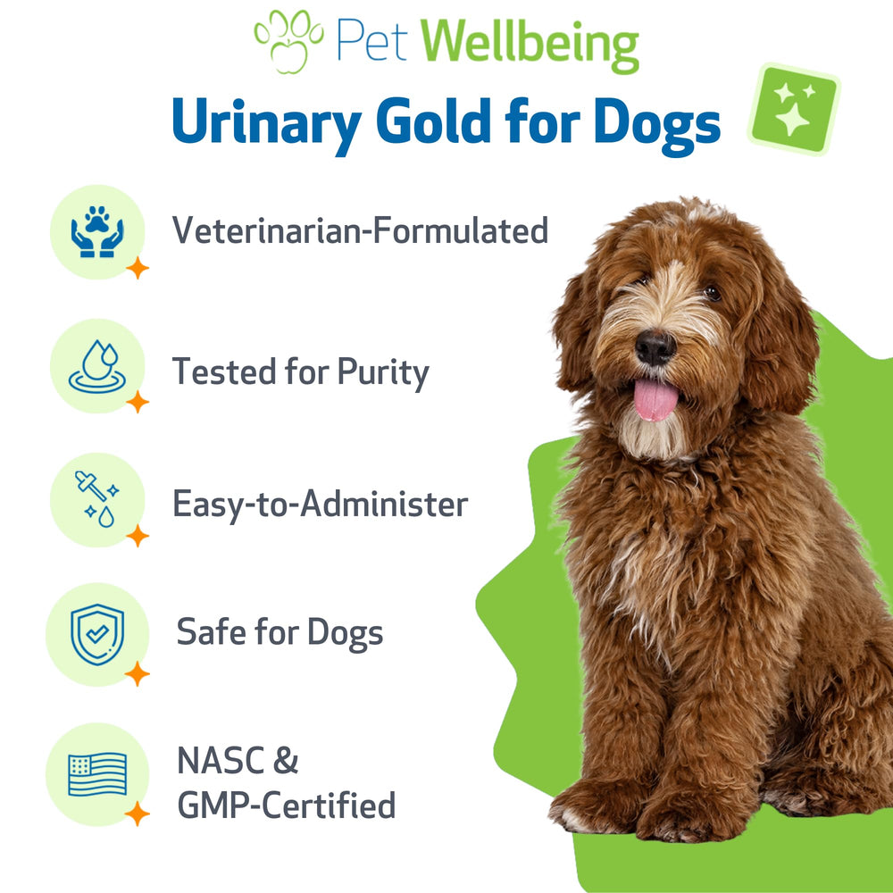 Pet Wellbeing Urinary Gold, perro saludable gracias al soporte suave