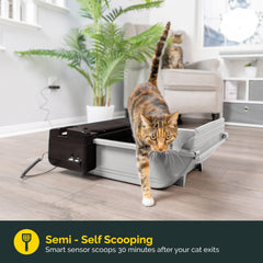 Pet Zone Semi, sensor de activación para iniciar la limpieza automáticamente.