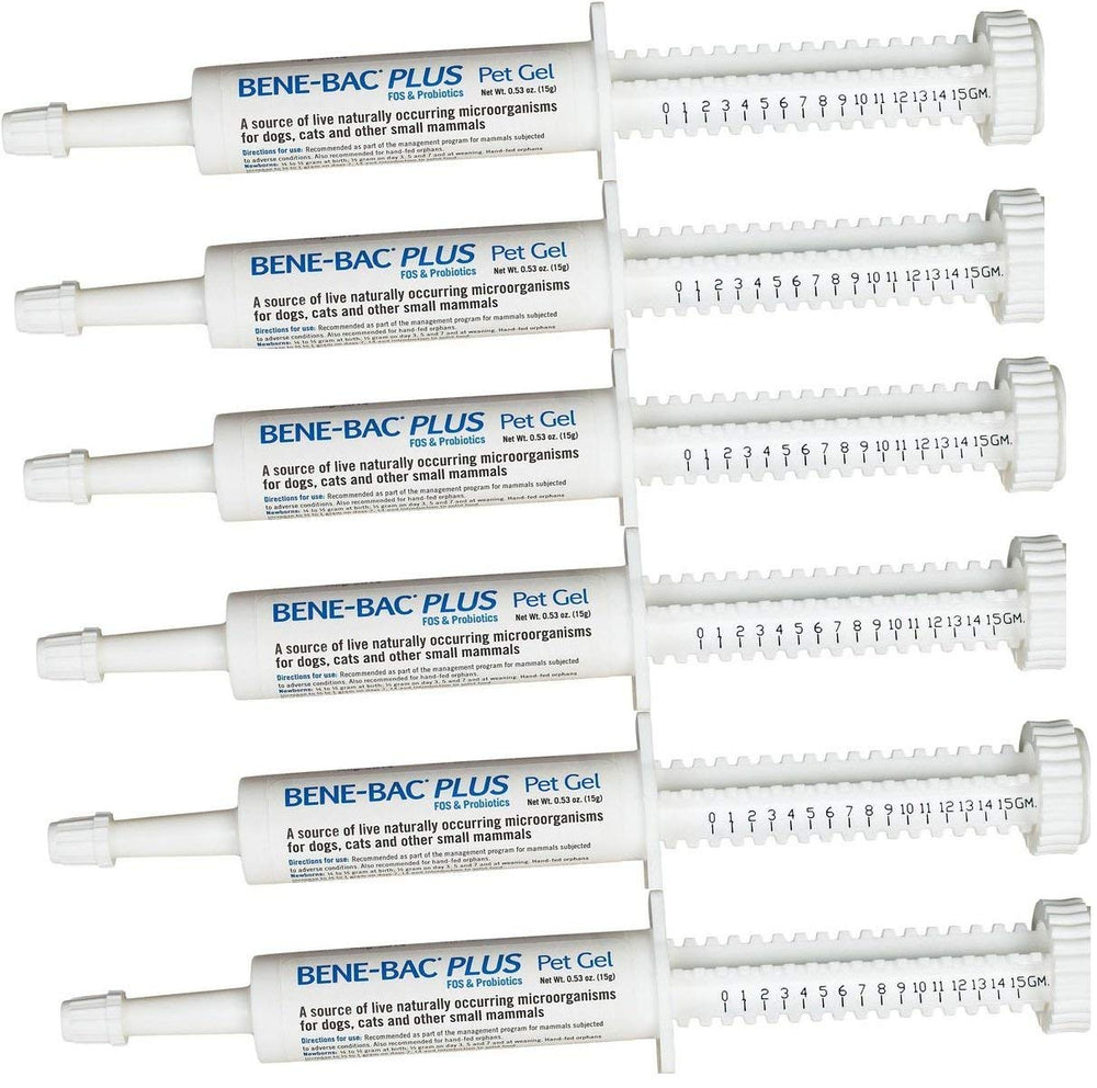 PetAg Bene-Bac Gel en jeringa de 15 g, promueve la salud digestiva en mascotas.
