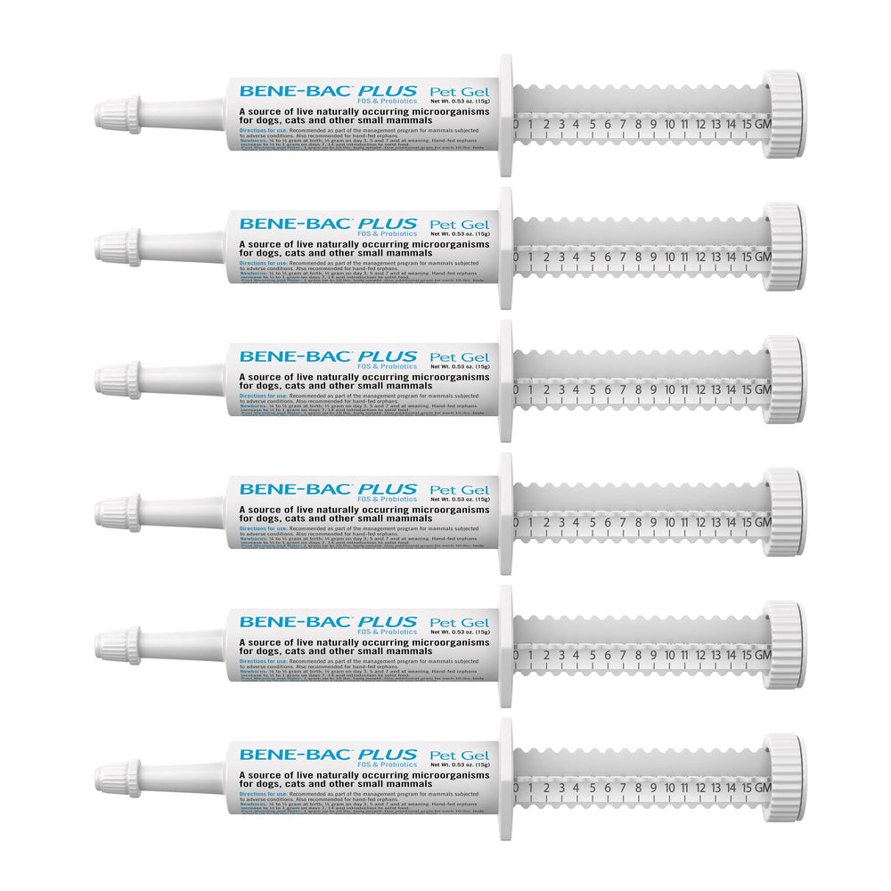 PetAg Bene-Bac Plus Gel en tubo de 15 g para apoyo digestivo diario.