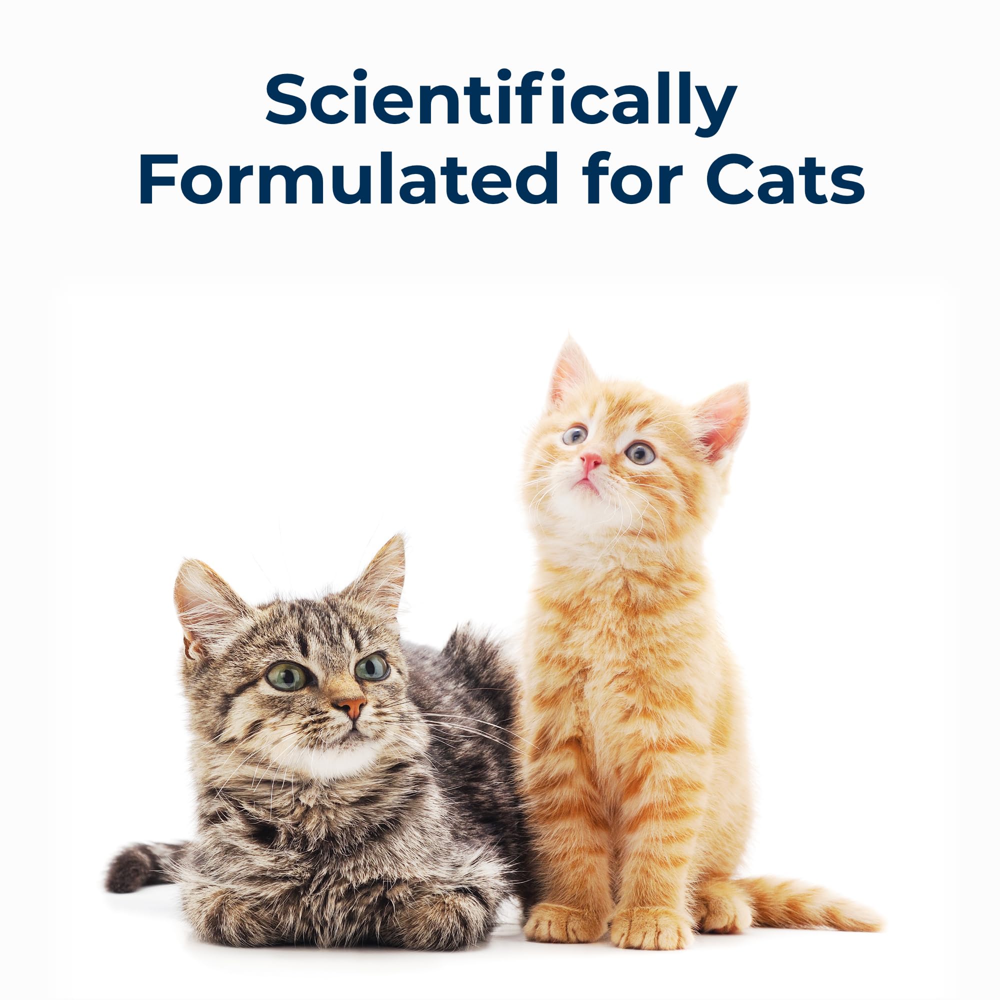 PetAg Cat-Sip facilita la hidratación diaria de gatos.