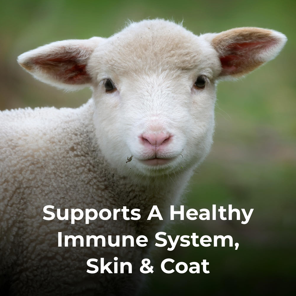 PetAg Dyne, vitaminas añadidas, soporte nutricional adicional para animales.