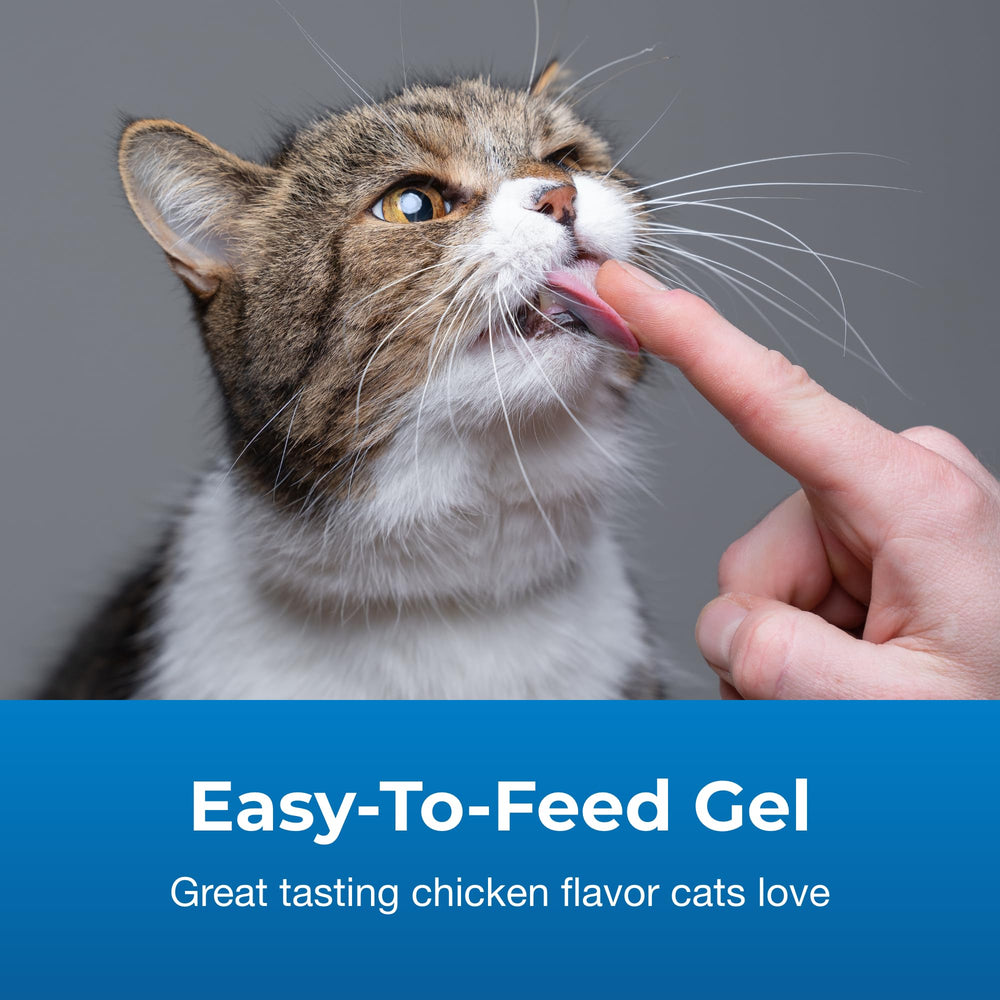 PetAg gel calórico para gatos, facilita la toma diaria