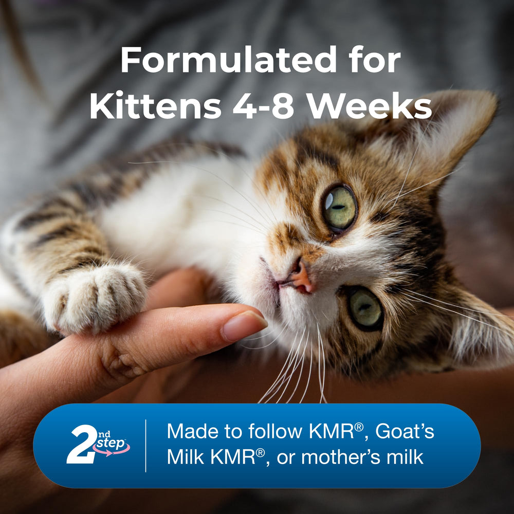 PetAg KMR 2nd Step gatitos comen solos tras destete progresivo