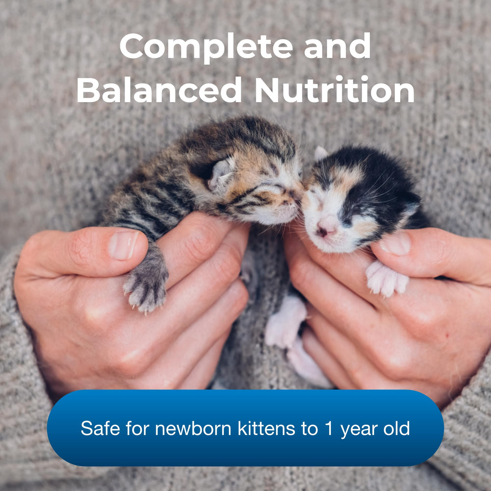 PetAg KMR con prebióticos y probióticos, apoyo digestivo para gatitos jóvenes