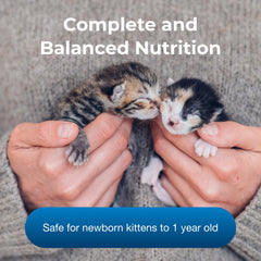 PetAg KMR con prebióticos y probióticos, apoyo digestivo para gatitos jóvenes