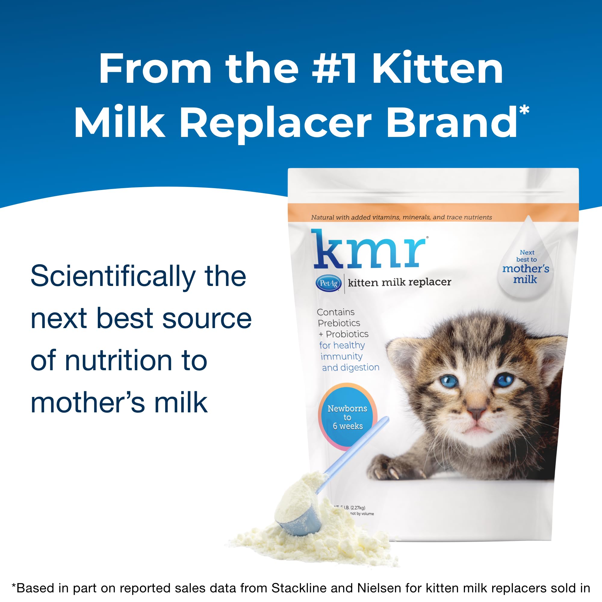 PetAg KMR, suplemento postquirúrgico para gatitos, recuperación suave