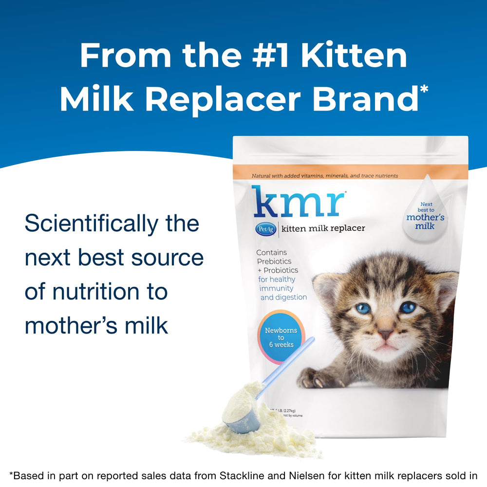 PetAg KMR, suplemento postquirúrgico para gatitos, recuperación suave