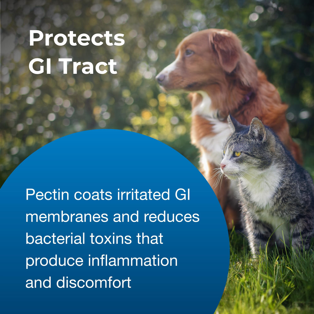 PetAg Pet Pectillin consejos-uso-veterinario: consulta profesional para mascotas pequeñas