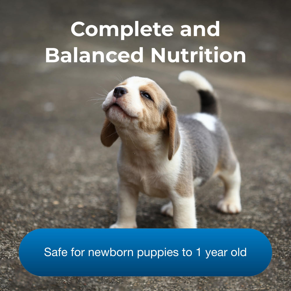 PetLac mezcla con agua tibia para alimentar cachorros.
