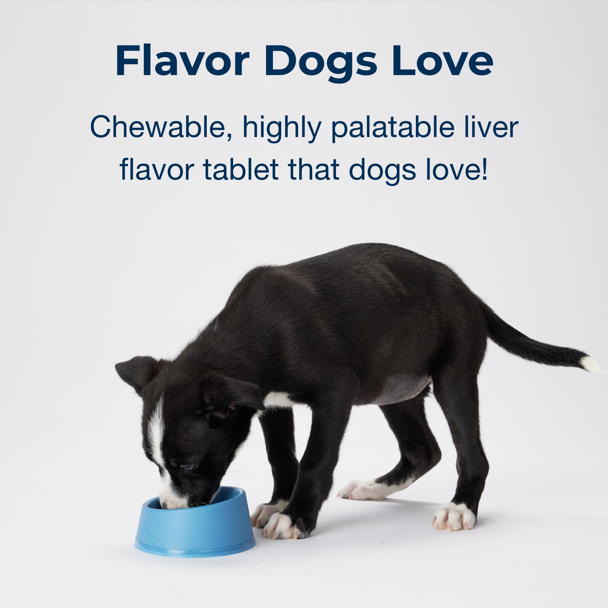 Cachorros en crecimiento reciben nutrición ósea con Sure Grow 100.