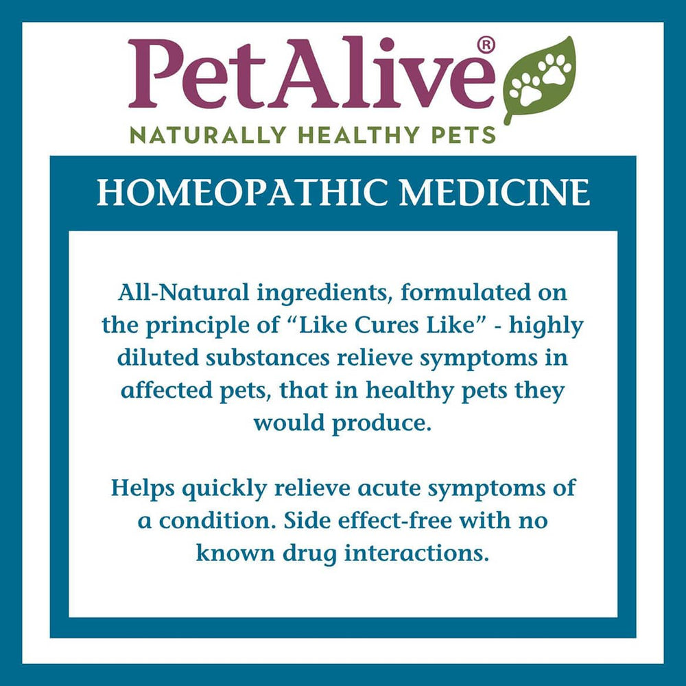 PetAlive Sinu-Rite: sin conservantes artificiales, opción más limpia para el cuidado diario.