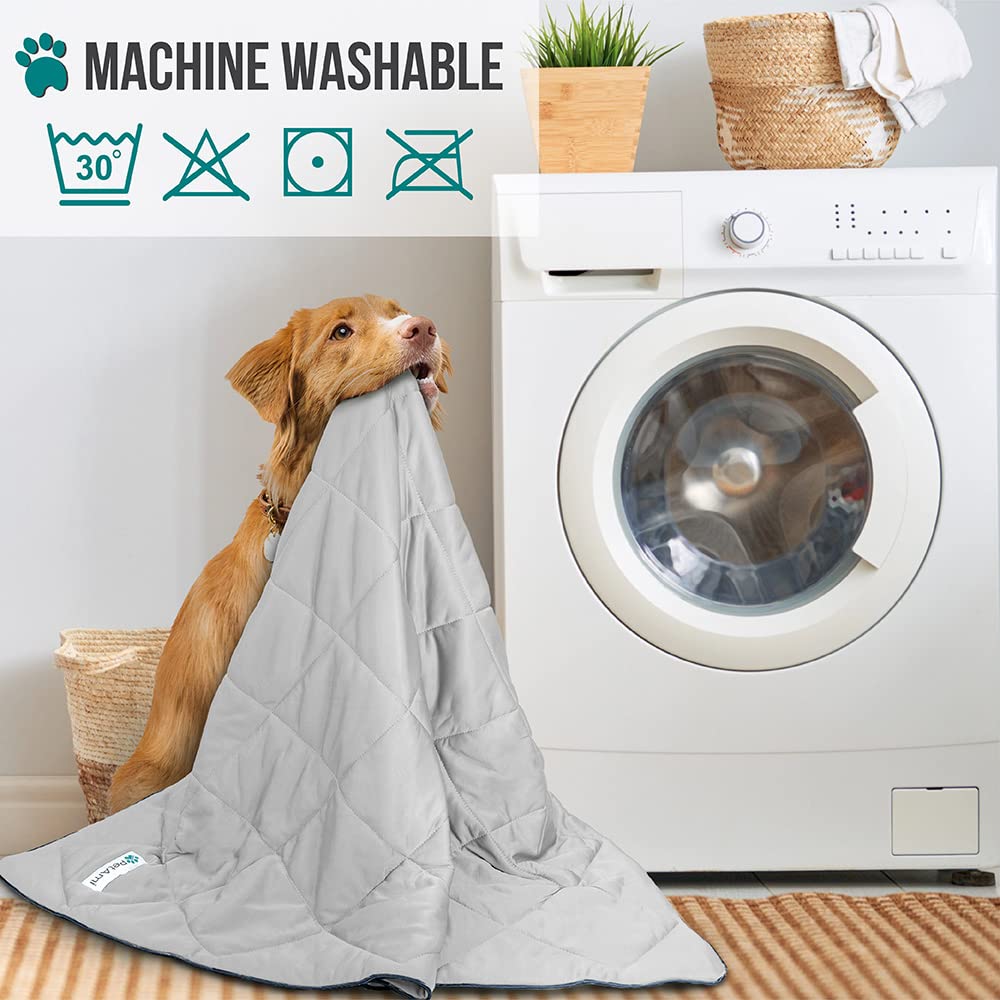 PetAmi manta para coche, ideal para viajes con mascotas.