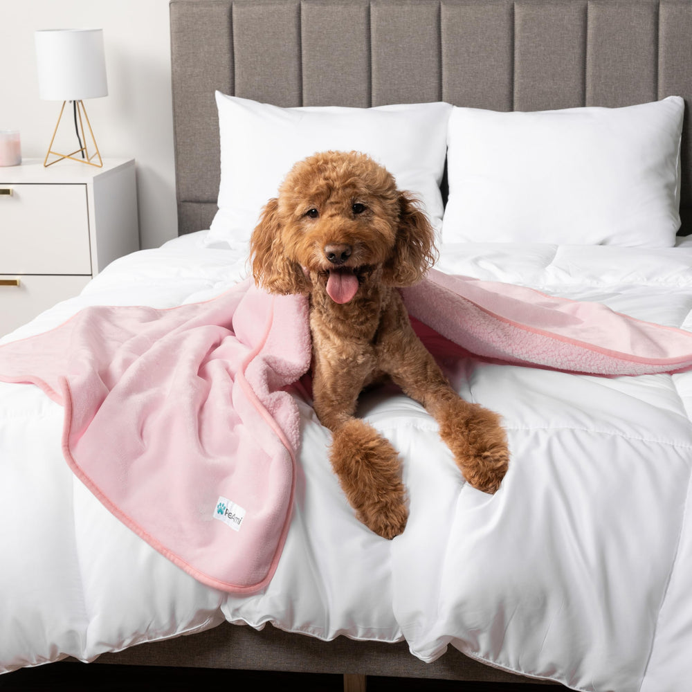 PetAmi funda para jaula y cama de mascota