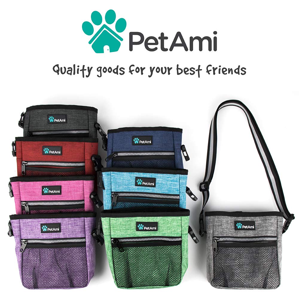 PetAmi turquoise: couleur vive et moderne pour votre équipement canin.