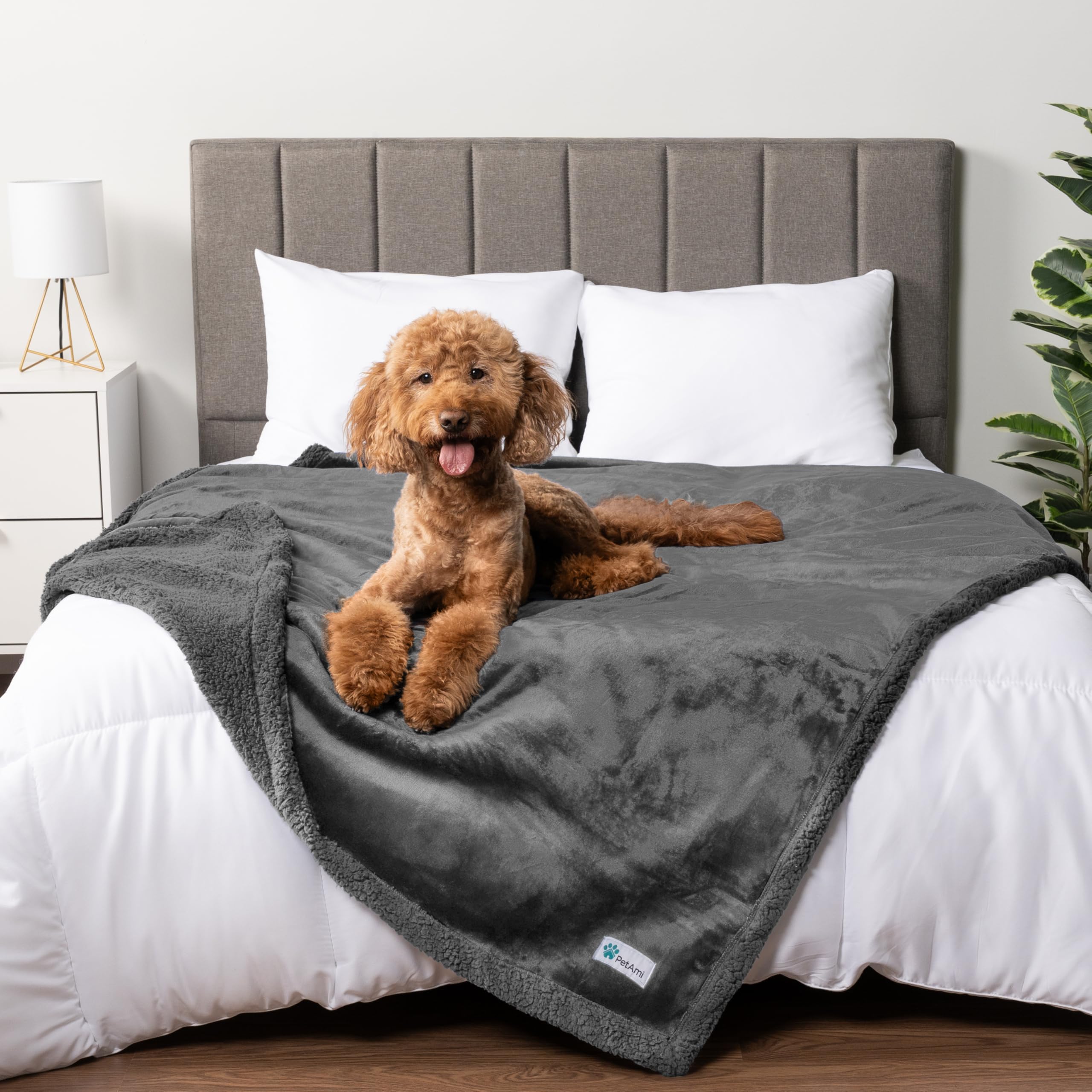 PetAmi Manta Impermeable para Perros y Gatos | Protege Muebles, Sherpa, Reversible y Lavable 60x40 – Gris