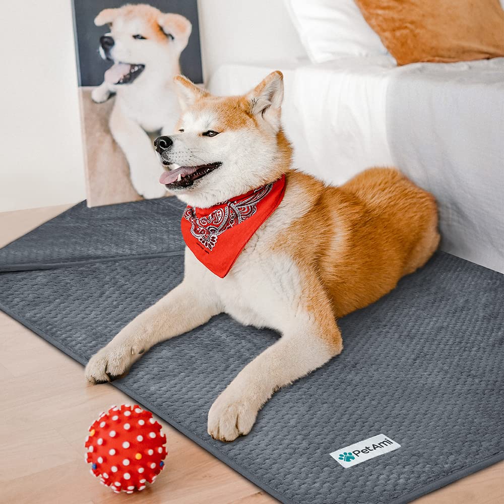PetAmi manta ideal para perros y gatos pequeños.