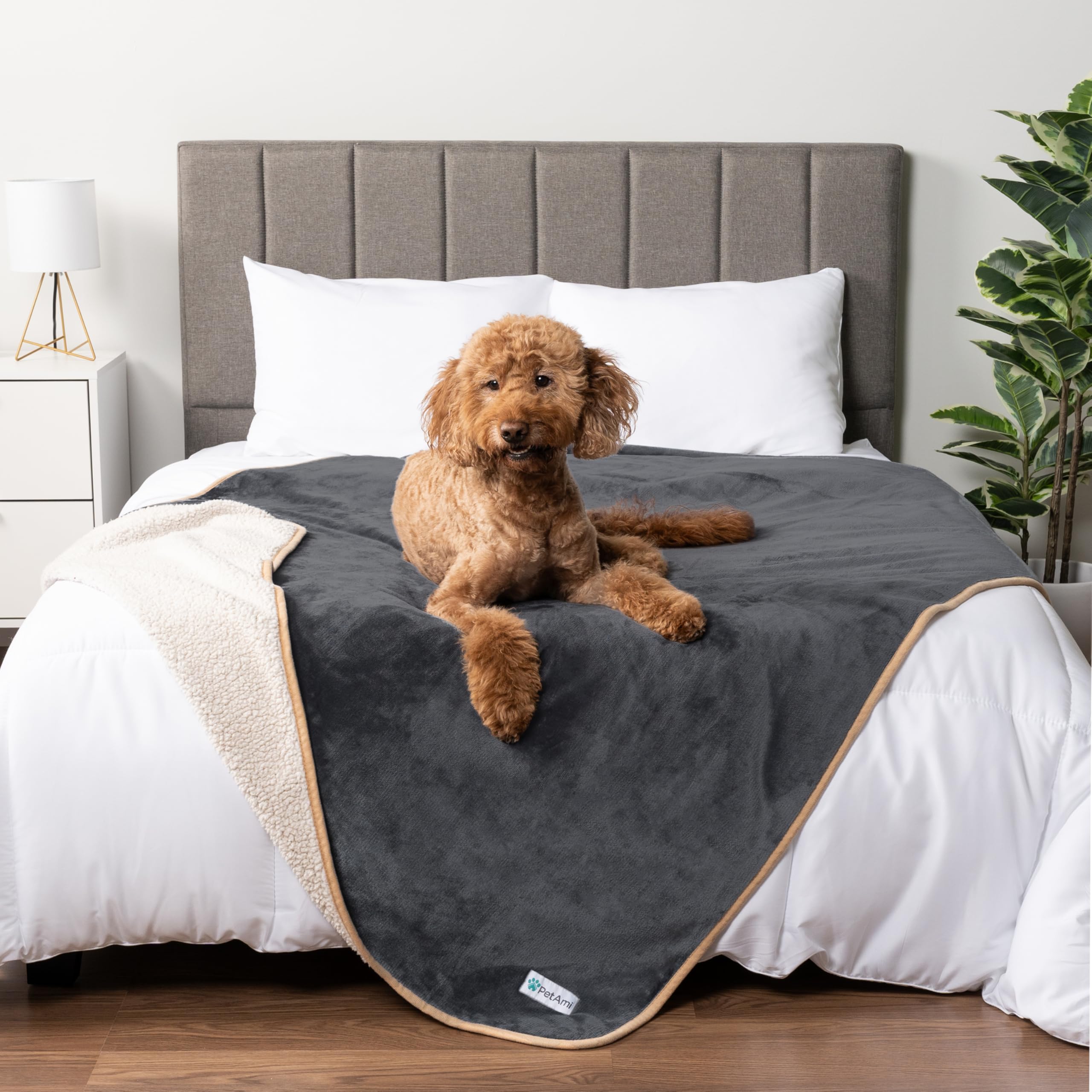 Manta impermeable PetAmi para perros grandes en gris/beige protege sofás y camas