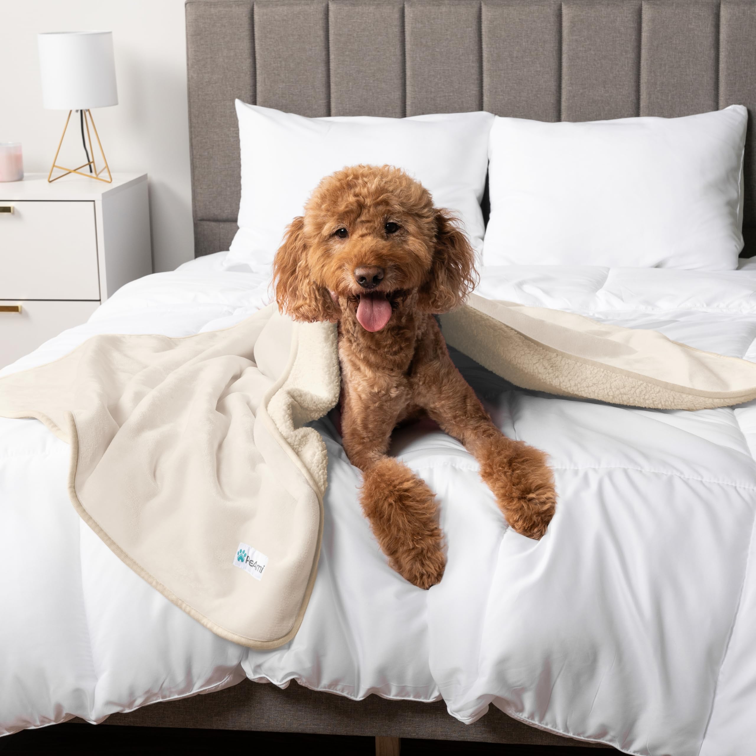 PetAmi manta protege cama y jaula, protección completa para espacios