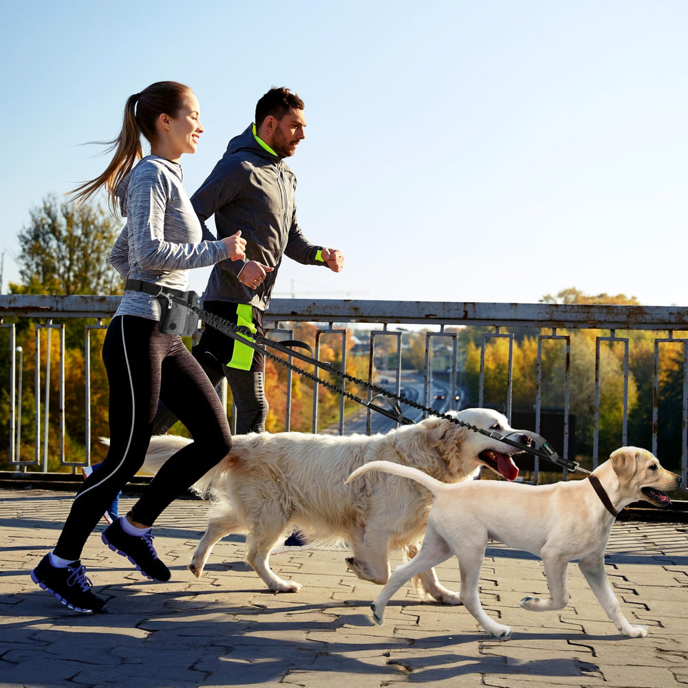 PetAmi Premium Portabotella integrado para agua durante la caminata