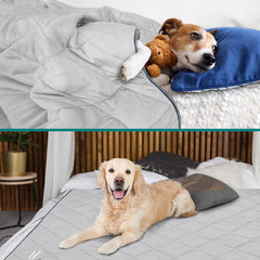 PetAmi protector de muebles, evita arañazos y suciedad sin perder confort.