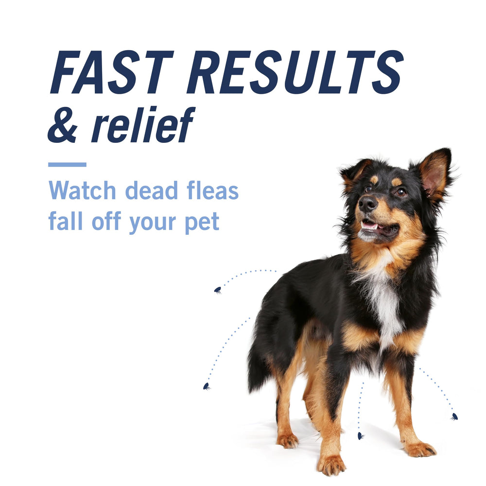PetArmor CapAction permite dosis diarias para reinfestaciones si es necesario.