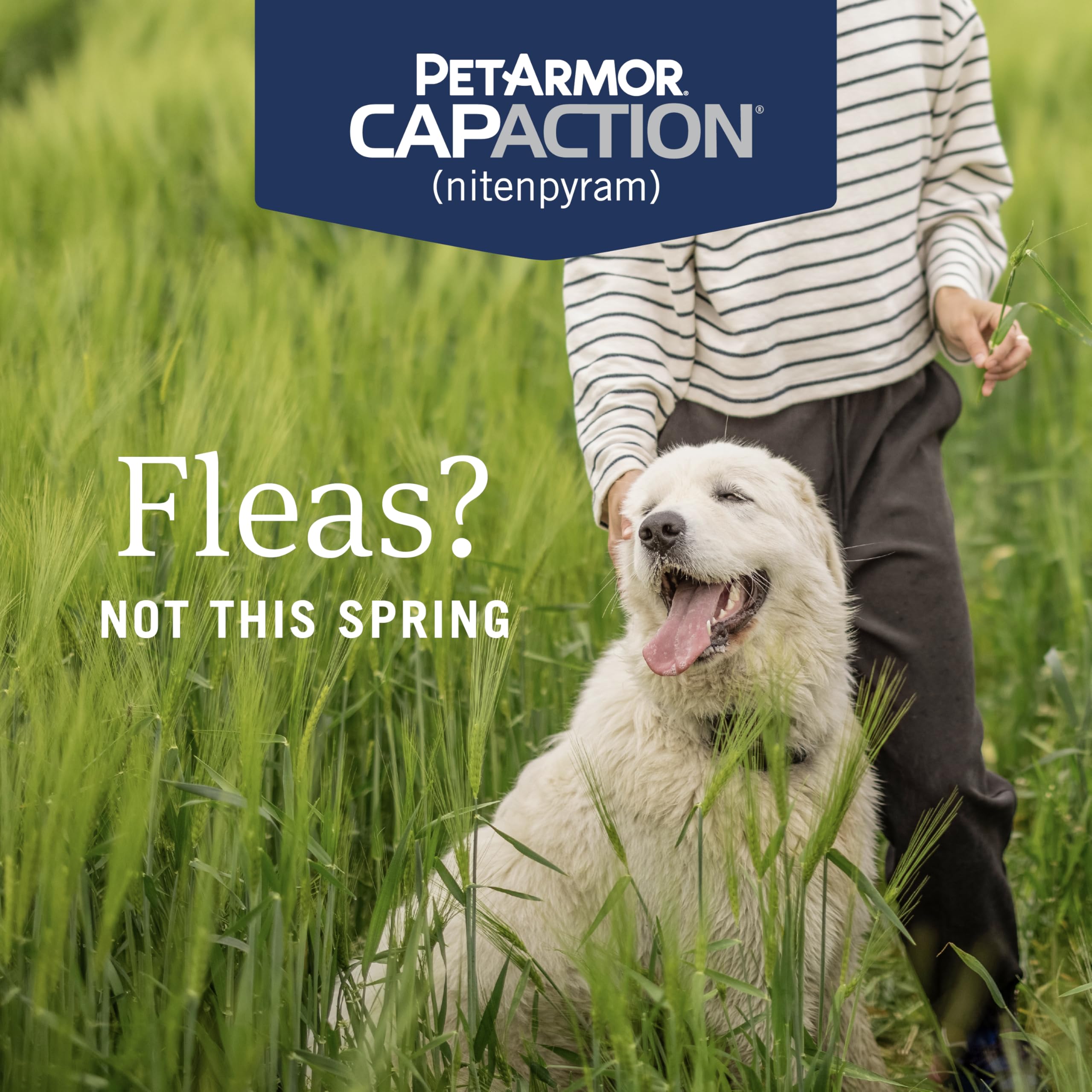 PetArmor CapAction envase de 6 dosis facilita tratamiento continuo para pulgas.