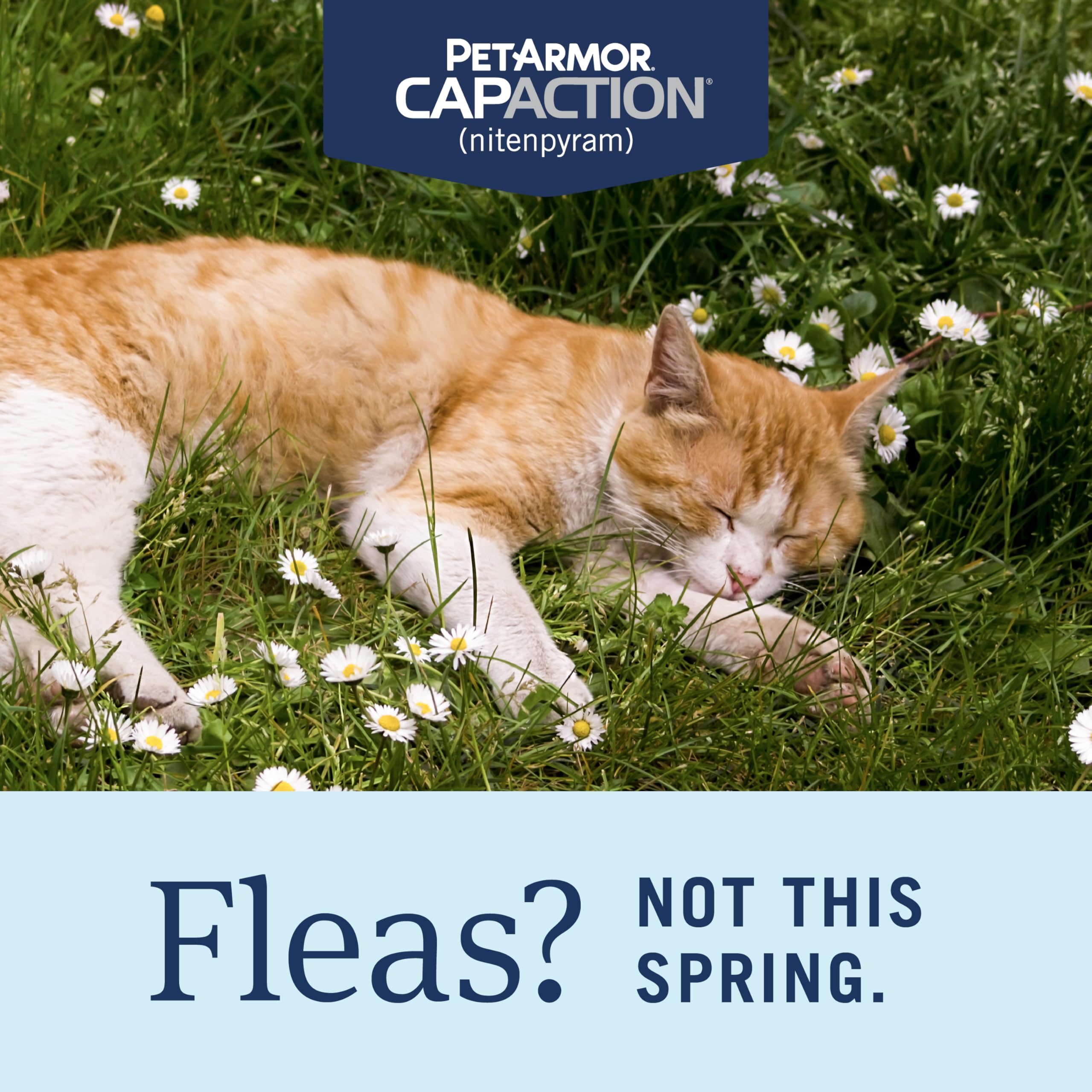 CAPACTION para gatos de 2 a 25 libras, seguro y fácil de usar.