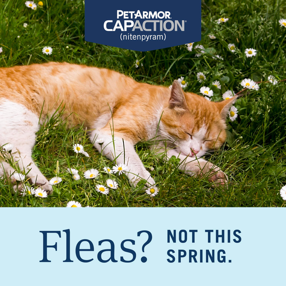 CAPACTION para gatos de 2 a 25 libras, seguro y fácil de usar.