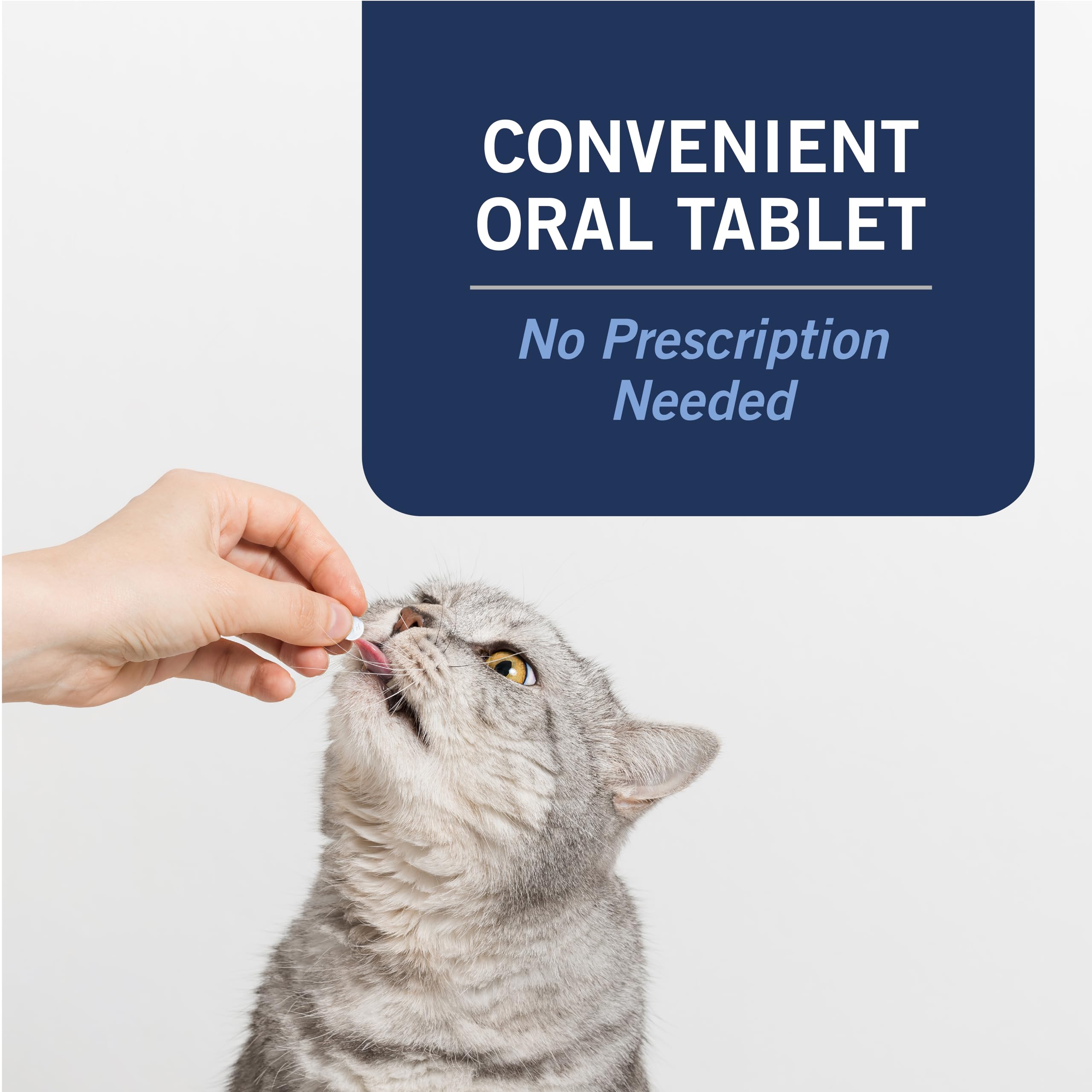 Uso diario de CAPACTION para gatos, sin necesidad de tratamiento tópico.