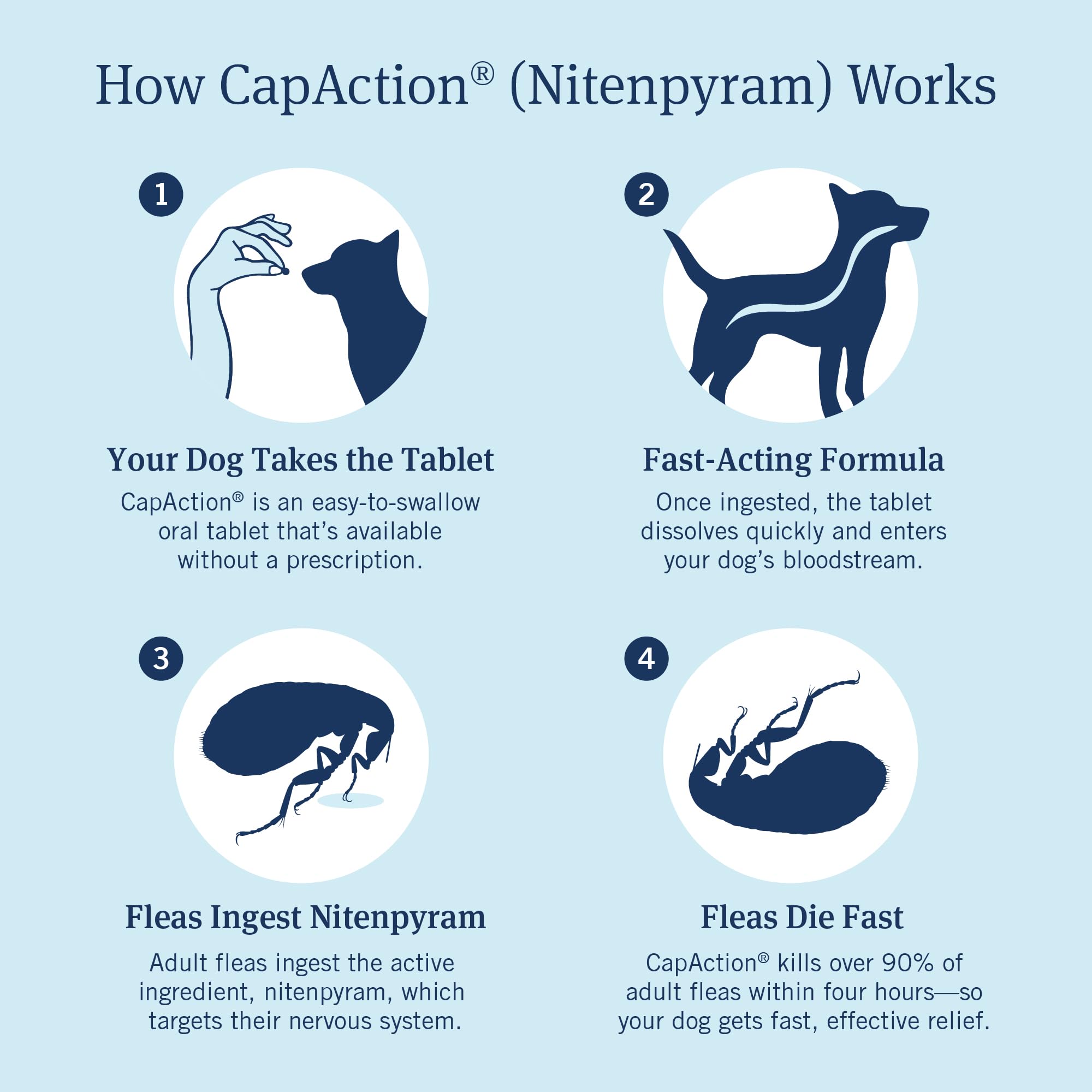 PetArmor CapAction tableta oral para perros, método práctico sin receta.