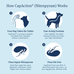 PetArmor CapAction tableta oral para perros, método práctico sin receta.