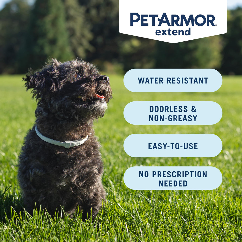 PetArmor Extend actúa en 24 horas, inicio rapido.