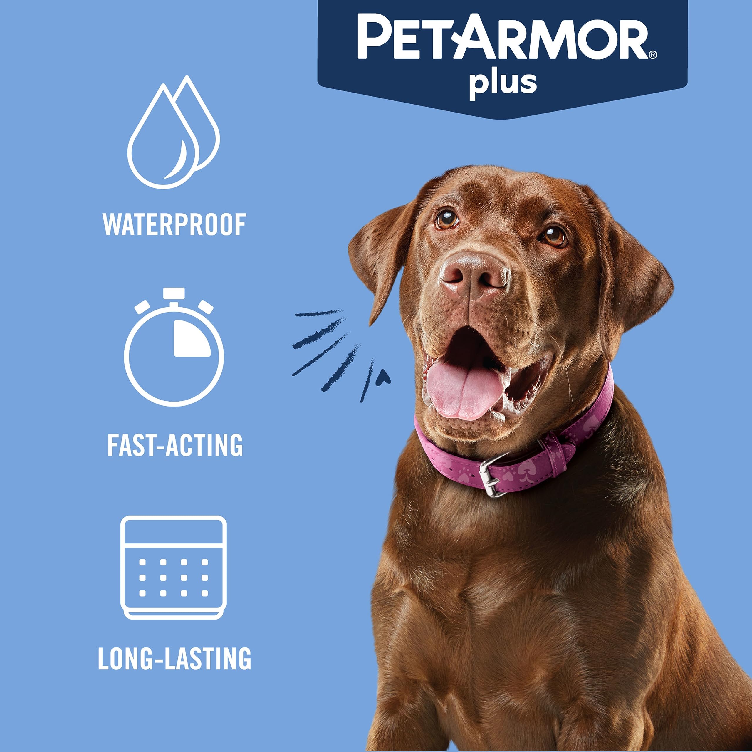 PetArmor Plus, acción rápida que empieza a matar pulgas en 24 horas.