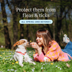 PetArmor Plus: envase de dosis para uso prolongado en perros pequeños.
