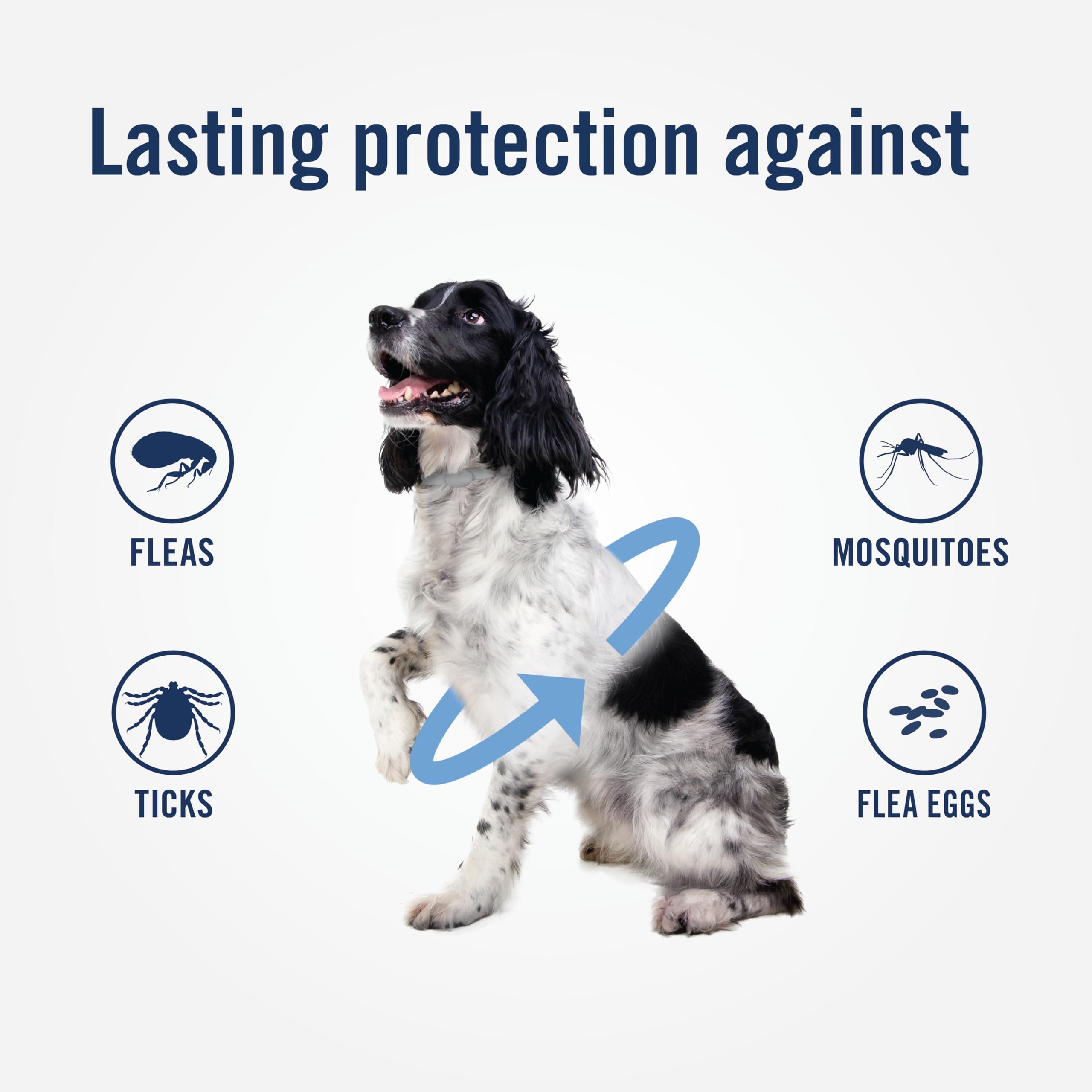 PetArmor Plus ofrece protección duradera de seis meses por collar.