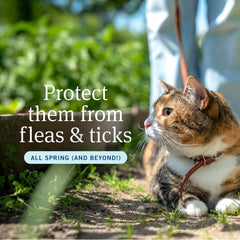 PetArmor Plus para gatos, resistente al agua, ideal tras baños o lluvia.
