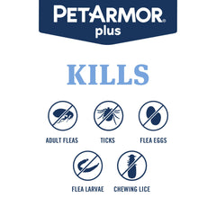 Perro con tratamiento impermeable, PetArmor Plus funciona bajo la lluvia.