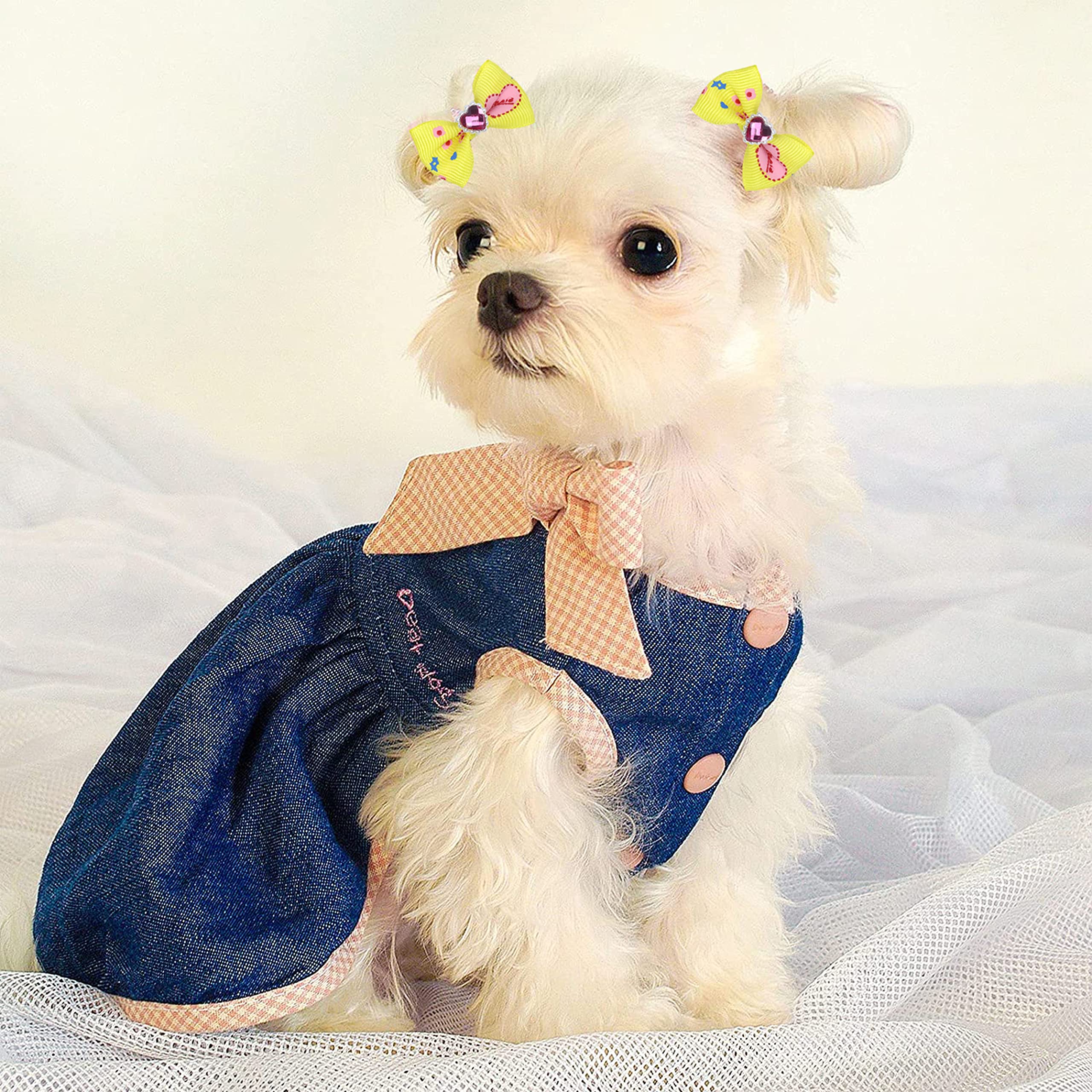 Lazo cinta cristal Petbuy para perritos en eventos