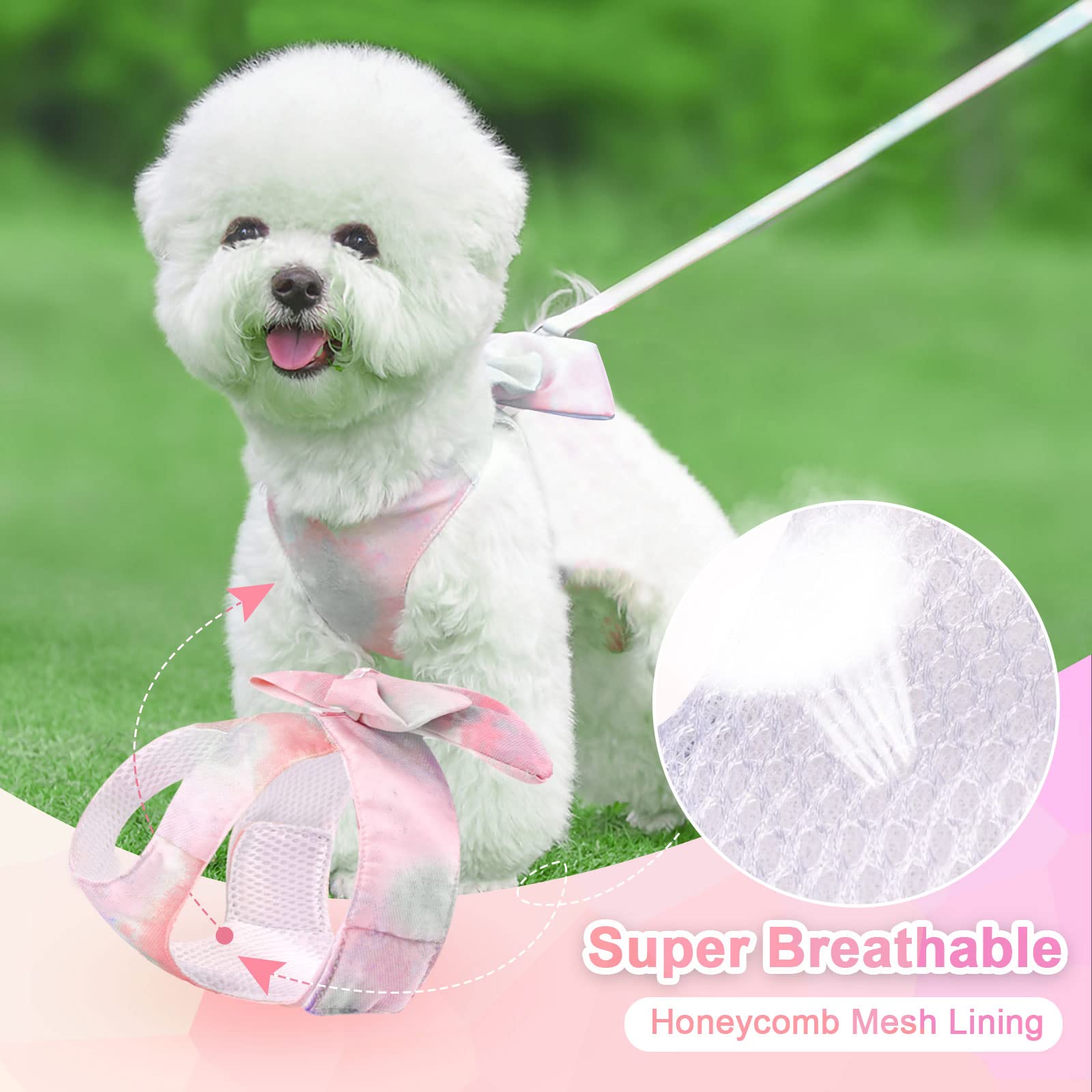 Petcare arnés para mascotas pequeñas: ideal para perros y gatos pequeños.