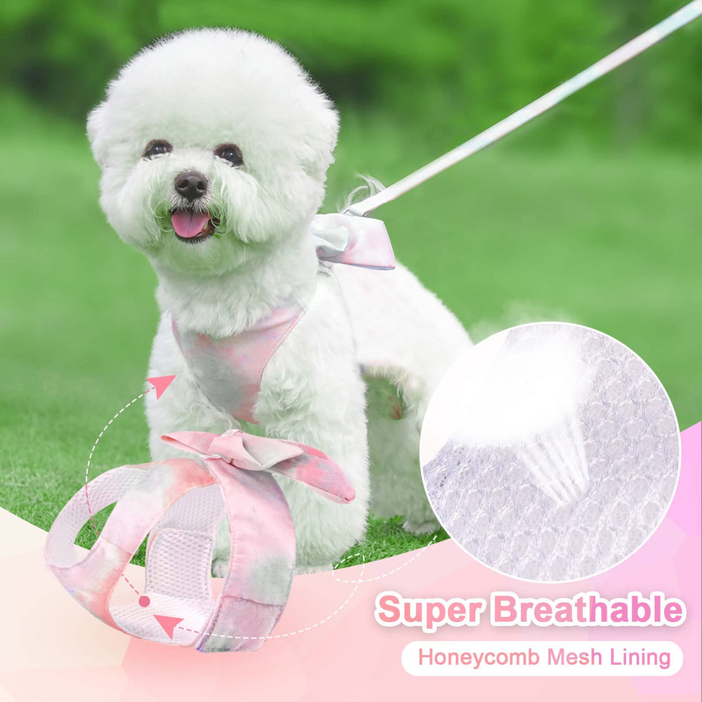 Petcare arnés para mascotas pequeñas: ideal para perros y gatos pequeños.