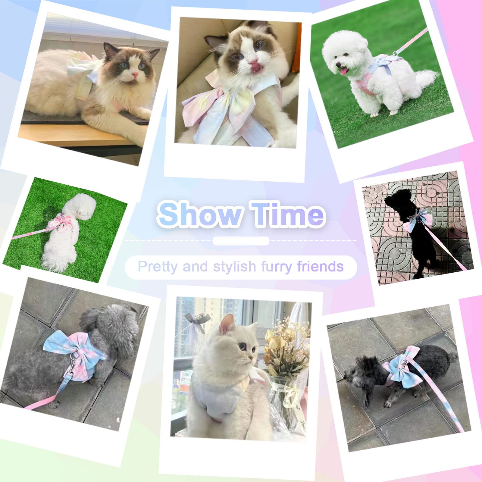 Petcare diseño dulce corbatín rosado: conjunto ideal para paseos y fotos.