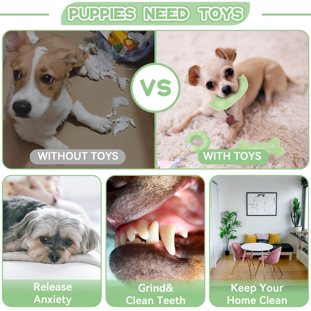 Petcare: juguete denticion verde cilindro, forma ergonomica para mordidas seguras.