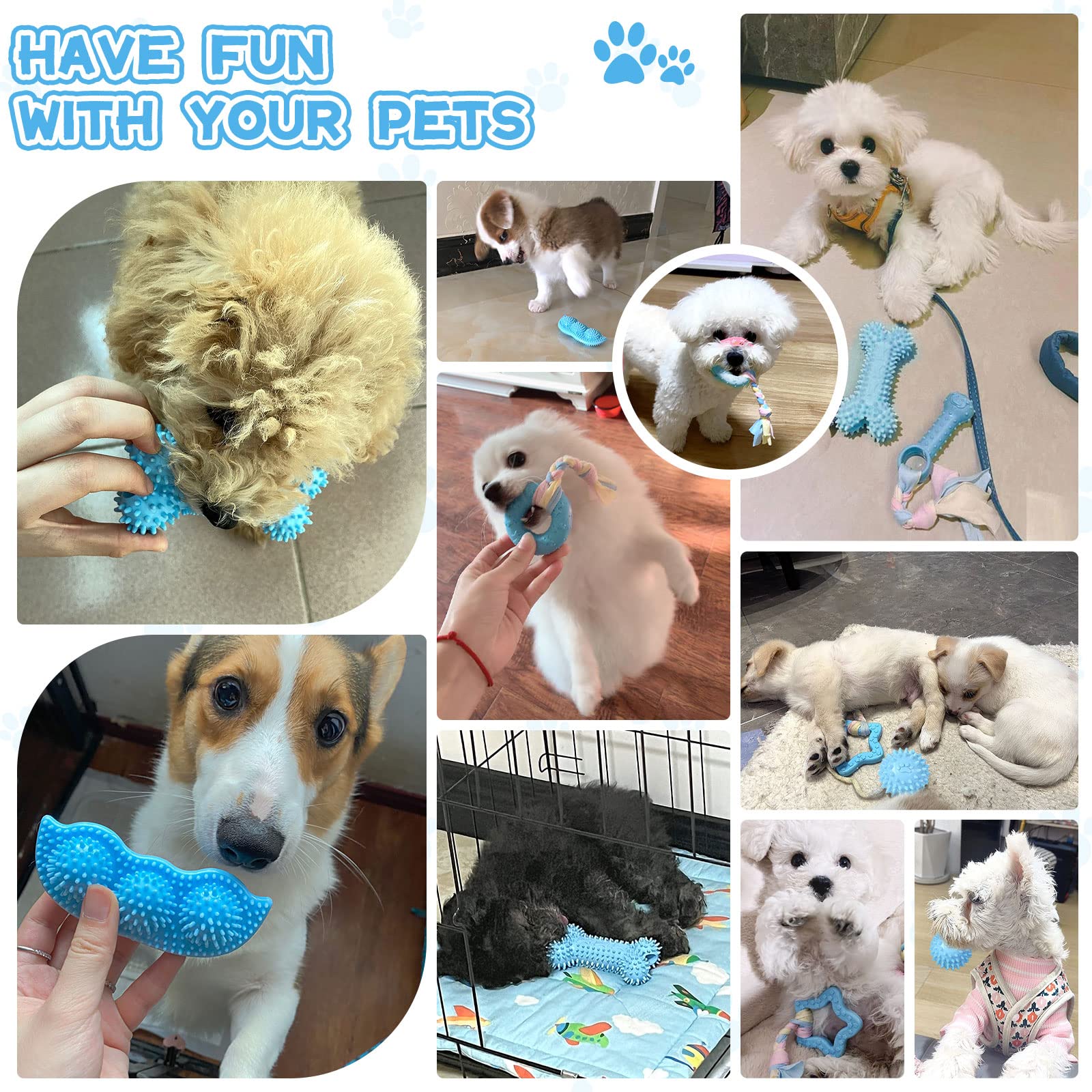 Petcare set juguetes para cachorros, variedad de texturas para exploración segura.