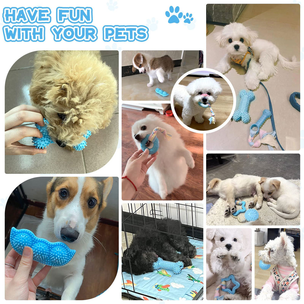 Petcare set juguetes para cachorros, variedad de texturas para exploración segura.