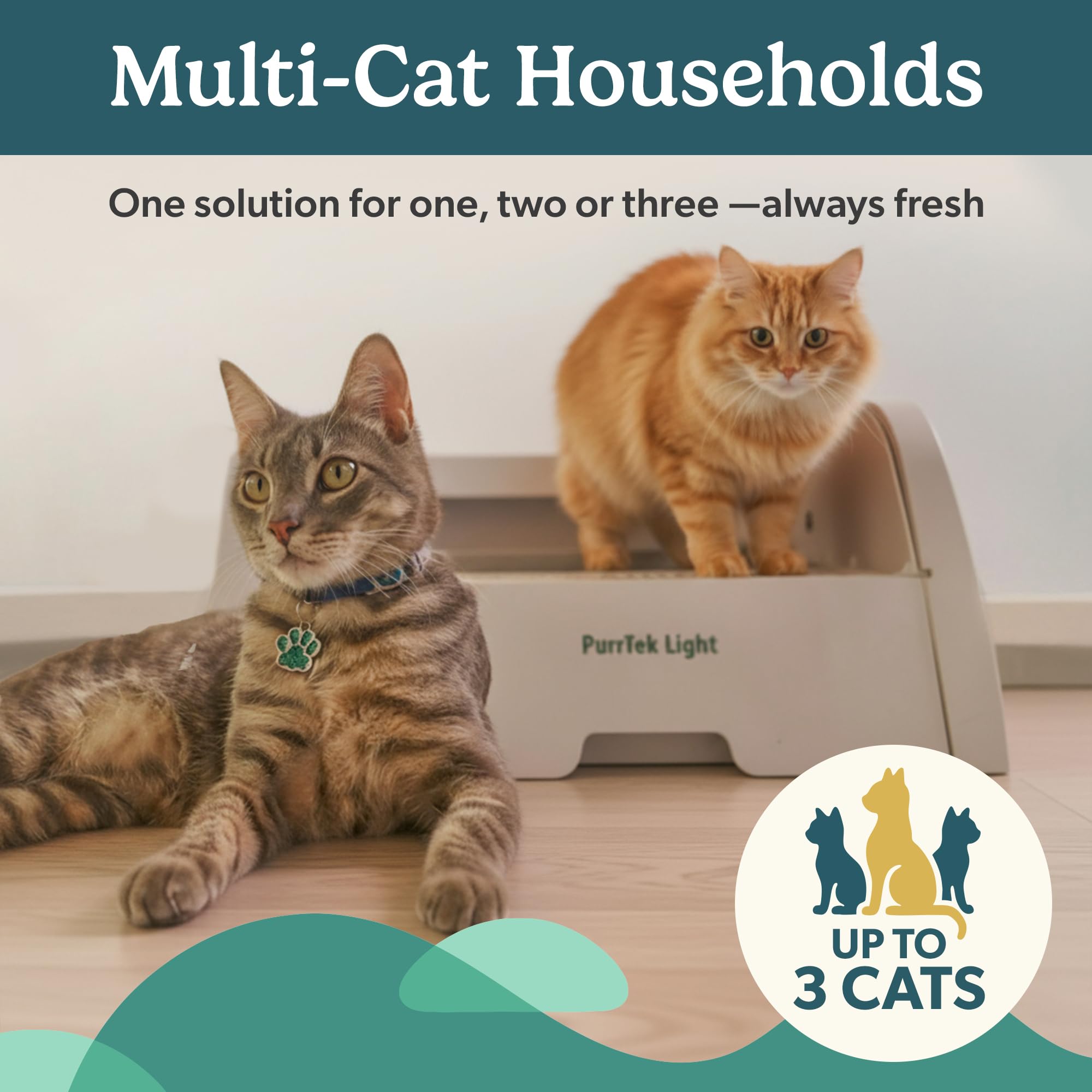 PetCove: apto para gatos de diferentes tamaños, hasta 15 kg.