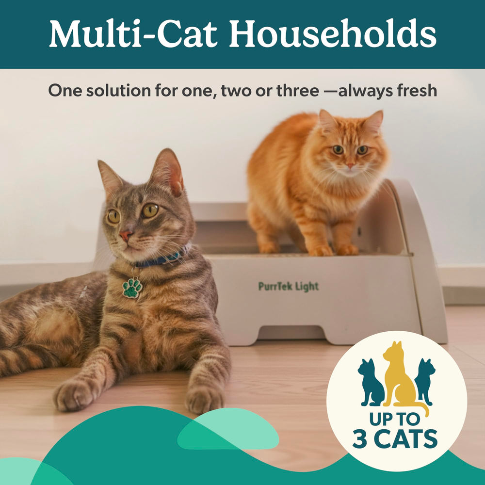 PetCove: apto para gatos de diferentes tamaños, hasta 15 kg.